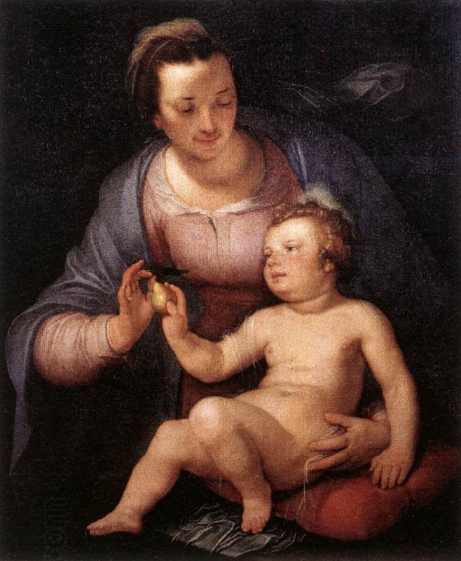 CORNELIS VAN HAARLEM Madonna and Child  vinxg oil painting picture